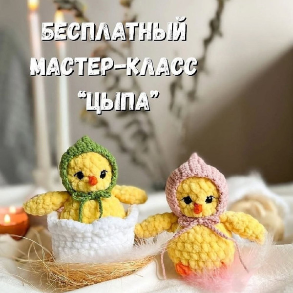 Цыплята, утята. Цыпа